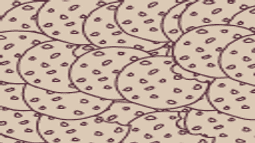 Krum Discord Bot Banner