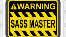 SassMaster 9000 Discord Bot Banner
