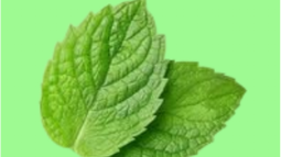 Minth Discord Bot Banner