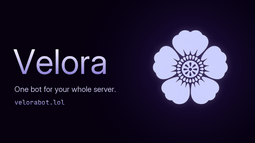 Velora Discord Bot Banner