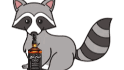 Racoot Discord Bot Banner