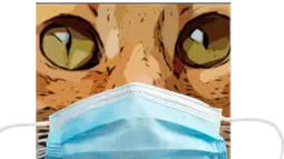 Neko Chan Discord Bot Banner