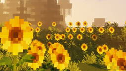 Rumi Discord Bot Banner