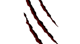 Claws Discord Bot Banner