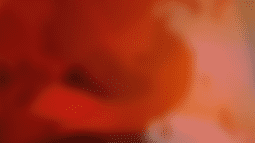 Ident Bot Discord Bot Banner