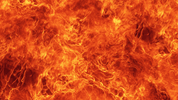 Meru Discord Bot Banner