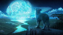 Chilly Discord Bot Banner
