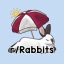 Rabbitors Discord Server Logo