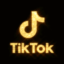 Tiktok Community Discord Server Logo