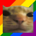 Cat Stand Discord Server Logo